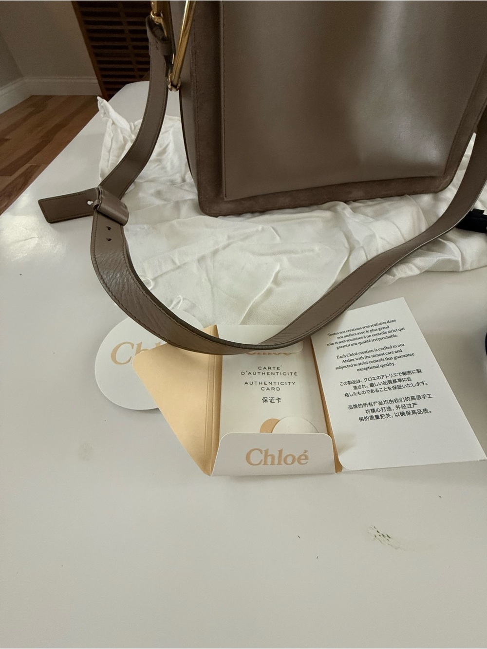 Chloe Roy Medium bag Leather Shoulder with Gold Hardware - Picture 5 of 16